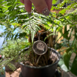 Neru design works⎜迷你塞拉杯吊飾