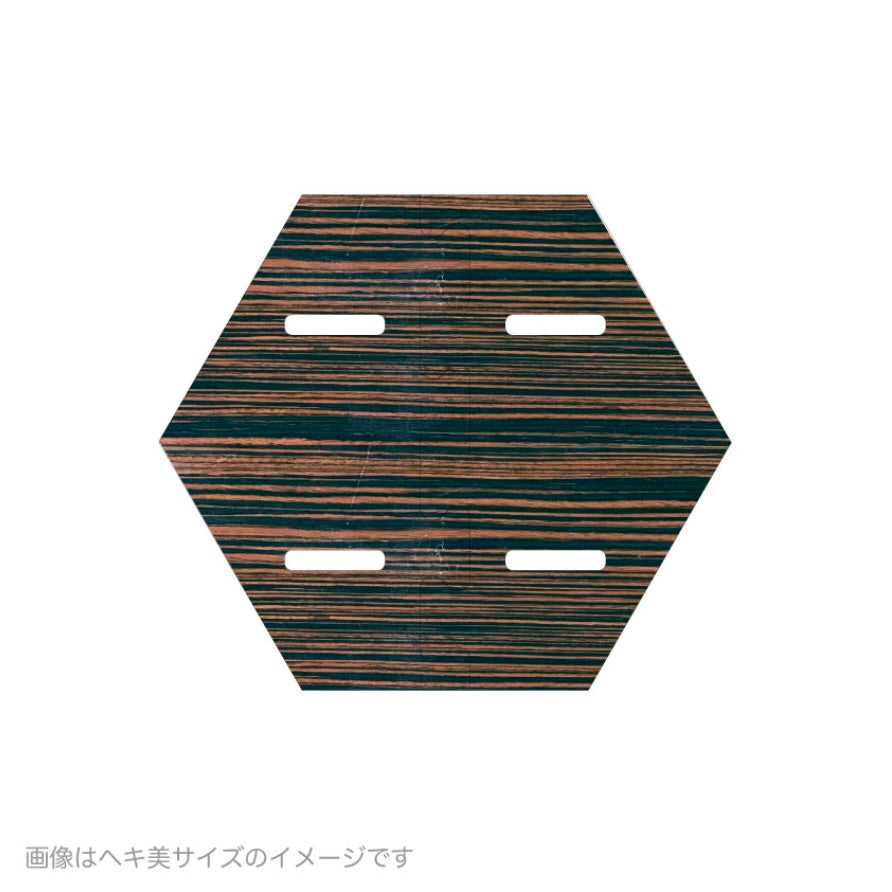 TheArth｜黑縞六角子 小美
