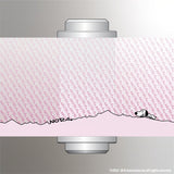 NORAs⎜【春】MIYABI 38燈