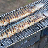 3ZO工務店⎜Rodan 羅丹 炭燒焚火台【S-PiKE】